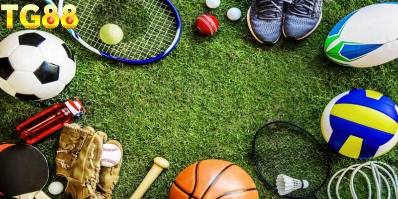 Các đối tác thể thao hàng đầu