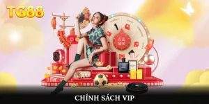 Chính sách VIP