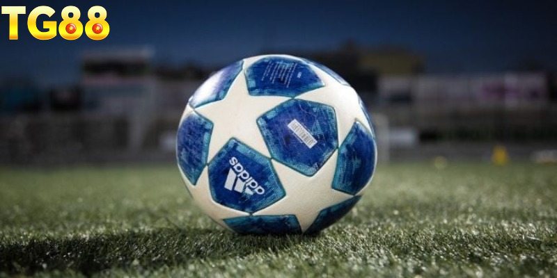 Kinh nghiệm chọn tips hiệu quả