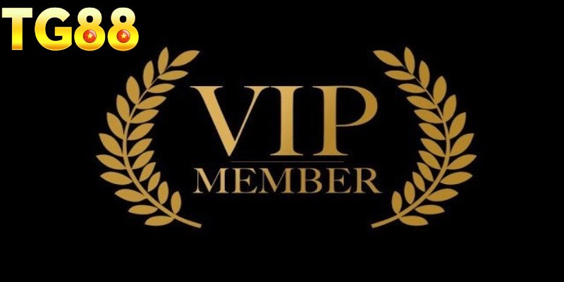 Những lợi ích đặc biệt chỉ có tại chính sách VIP