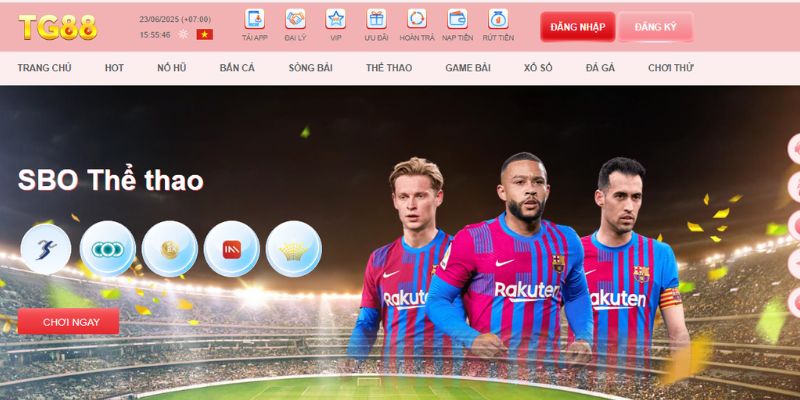 Cá cược thể thao vô cùng đẳng cấp